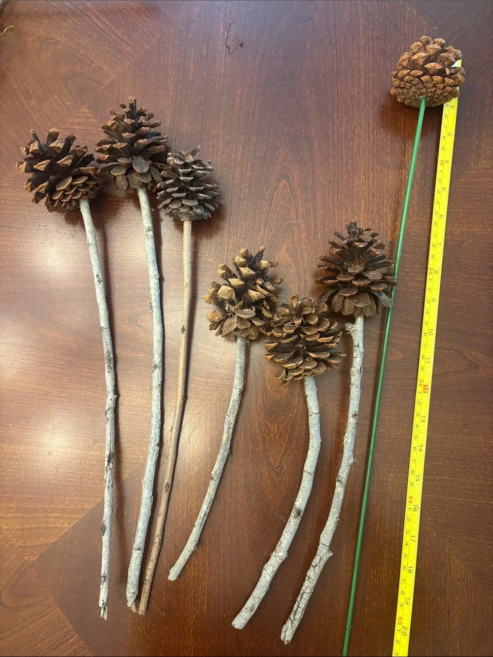 Natural Pinecone Stem Accents - Brown